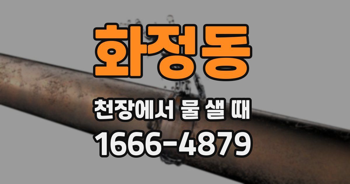 화정동 천장에서 물 샐 때