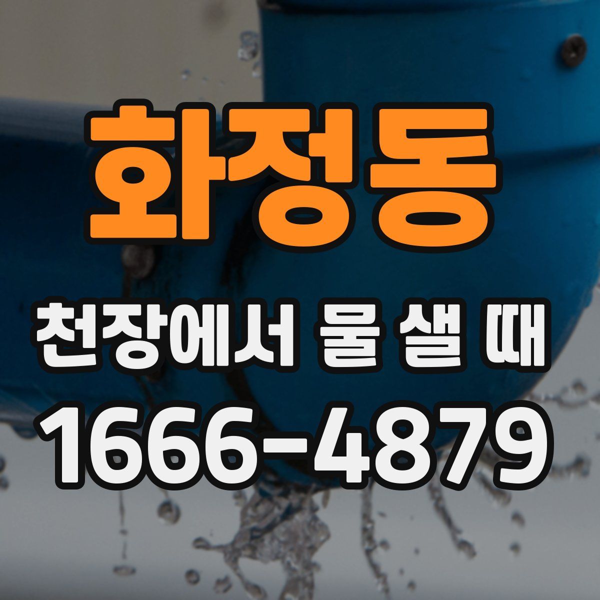 화정동 천장에서 물 샐 때