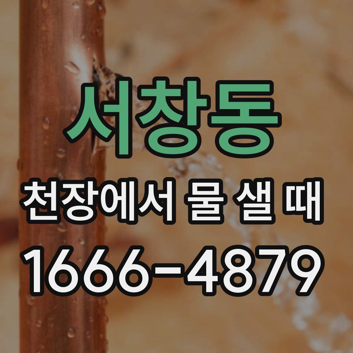 서창동 천장에서 물 샐 때