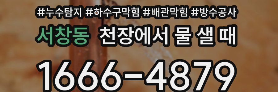 서창동 천장에서 물 샐 때