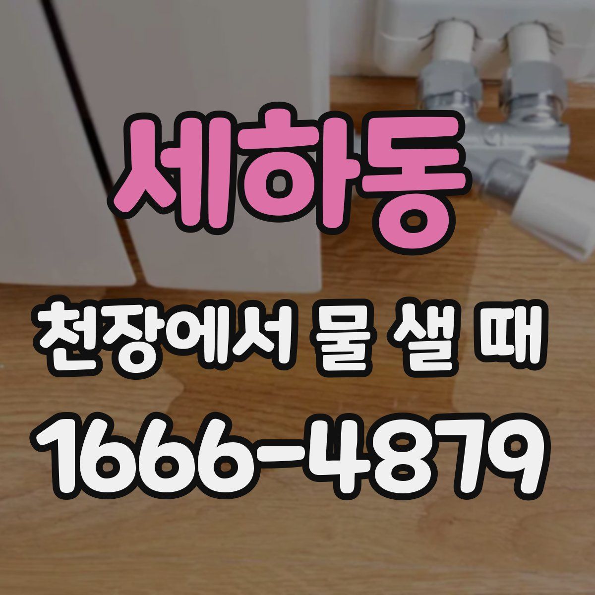 세하동 천장에서 물 샐 때