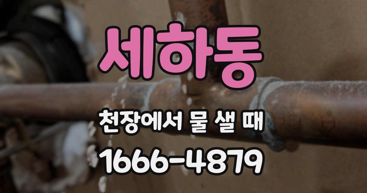 세하동 천장에서 물 샐 때