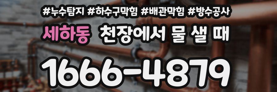 세하동 천장에서 물 샐 때