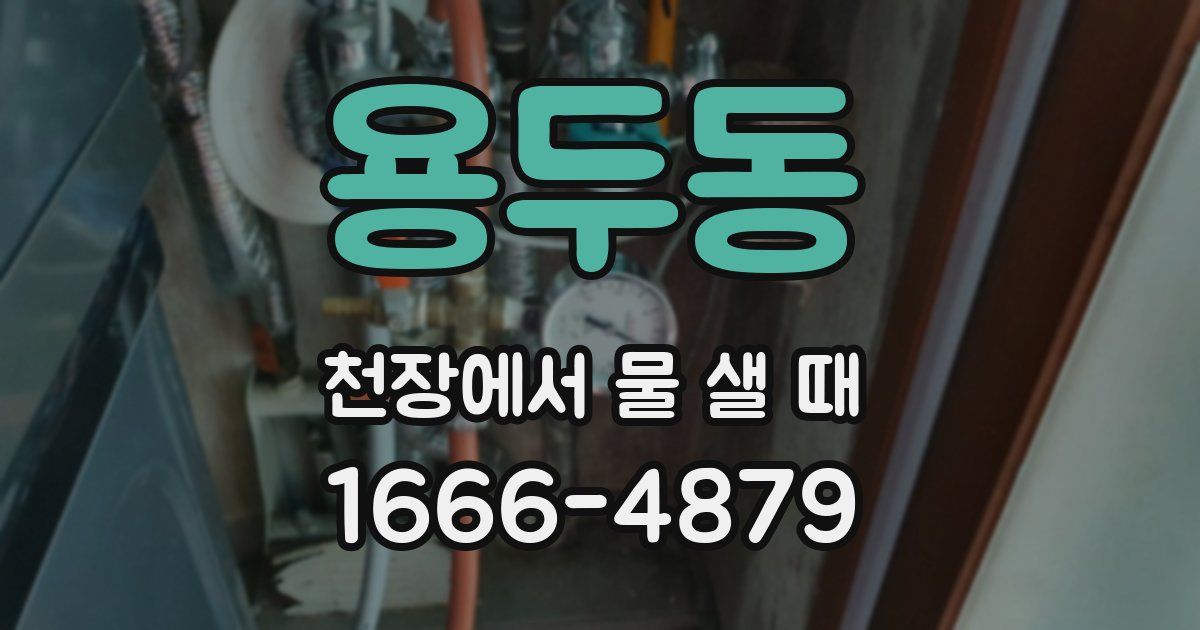 용두동 천장에서 물 샐 때