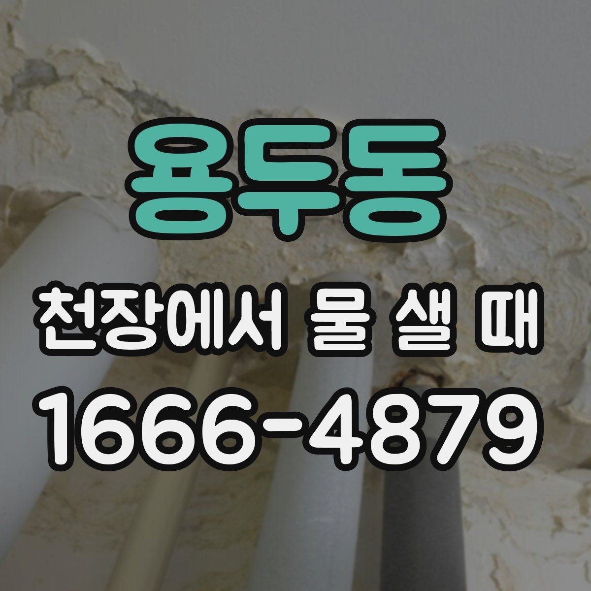 용두동 천장에서 물 샐 때