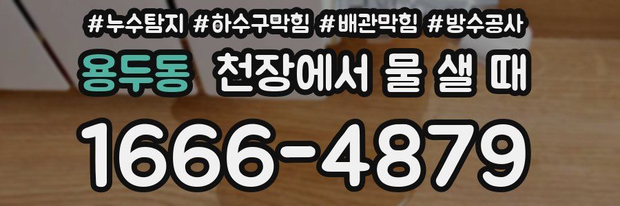 용두동 천장에서 물 샐 때