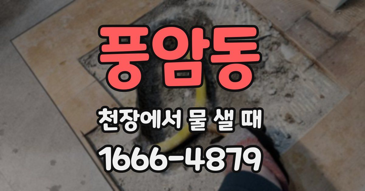 풍암동 천장에서 물 샐 때