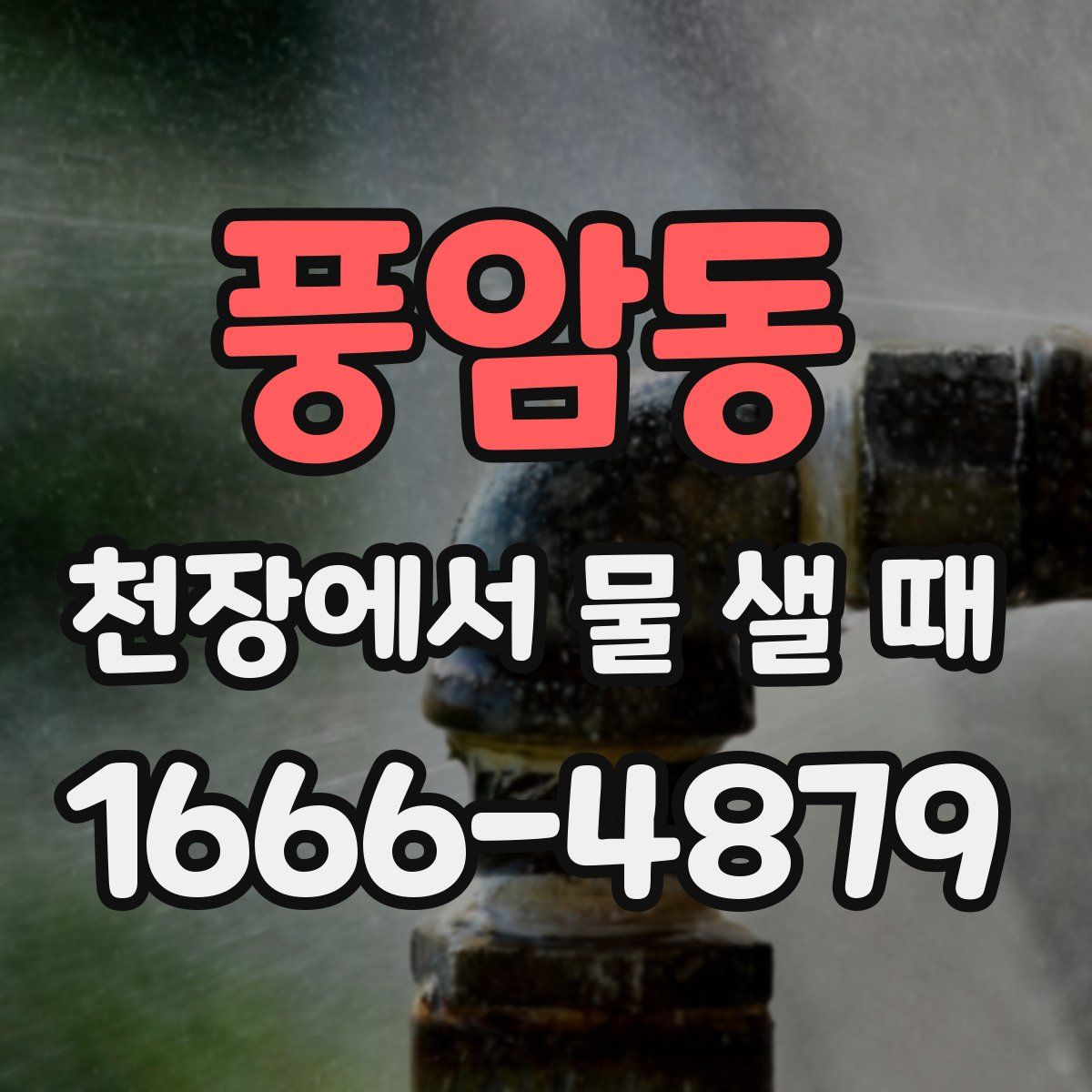 풍암동 천장에서 물 샐 때