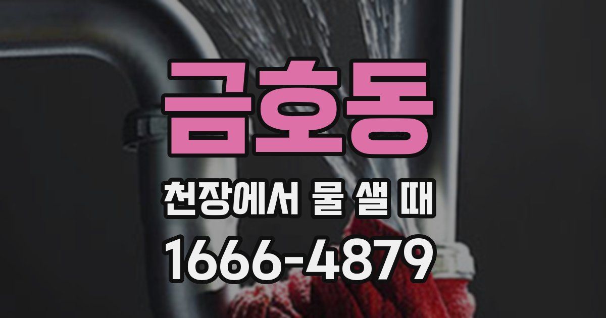 금호동 천장에서 물 샐 때