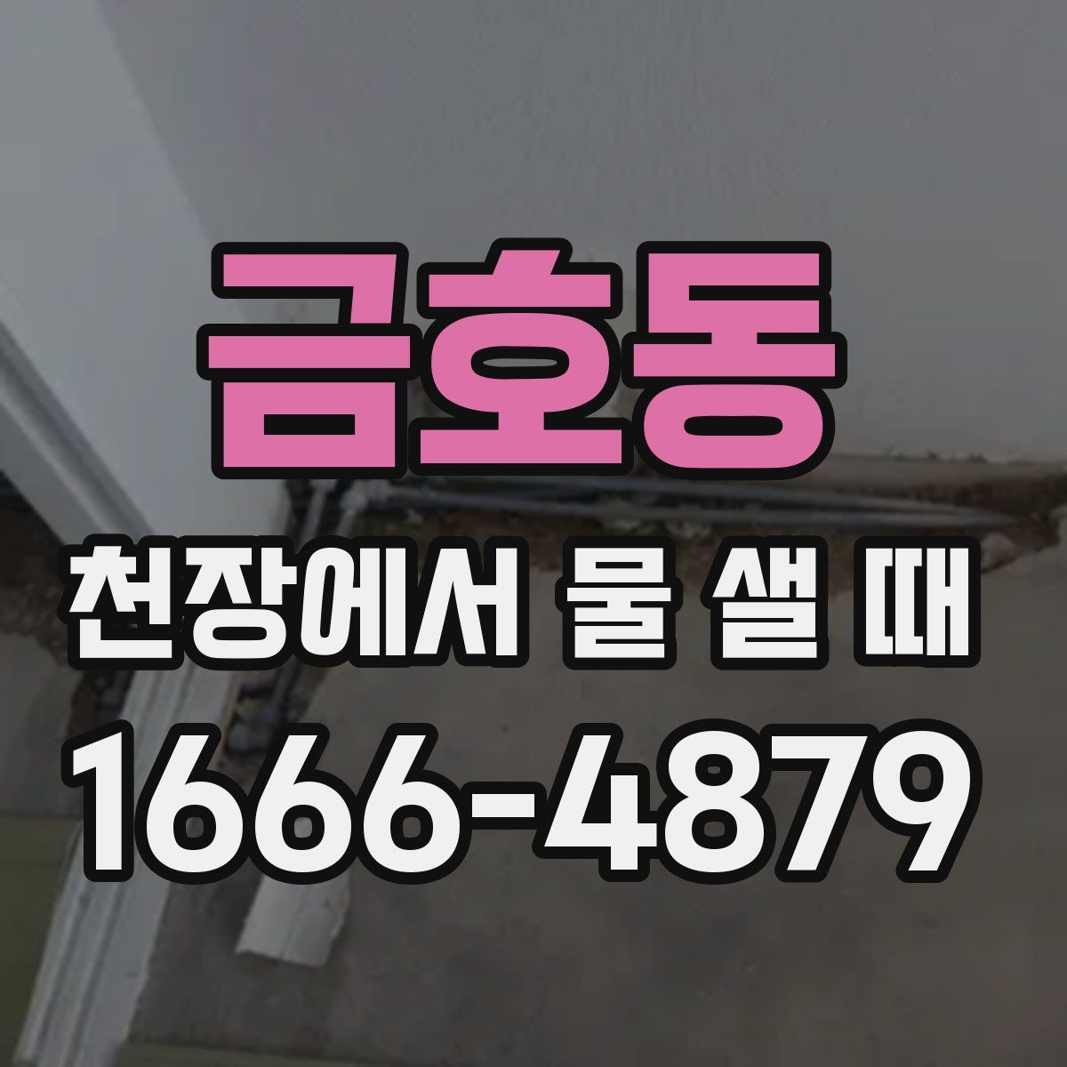 금호동 천장에서 물 샐 때