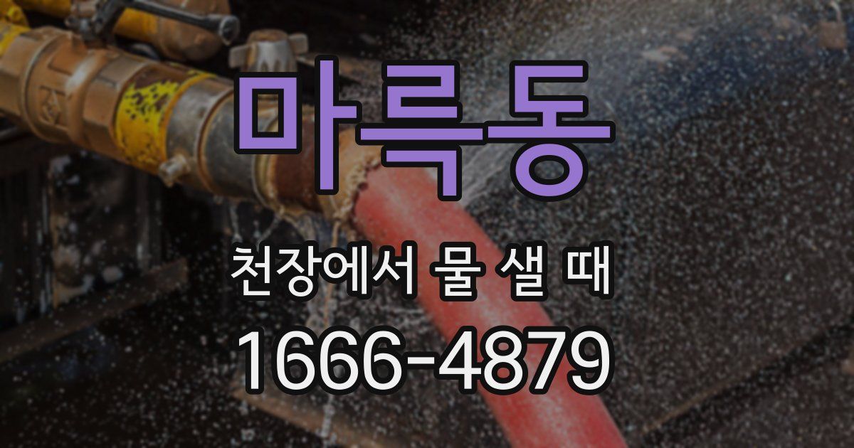 마륵동 천장에서 물 샐 때