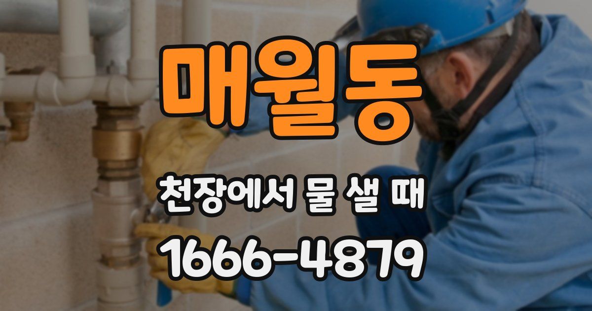 매월동 천장에서 물 샐 때