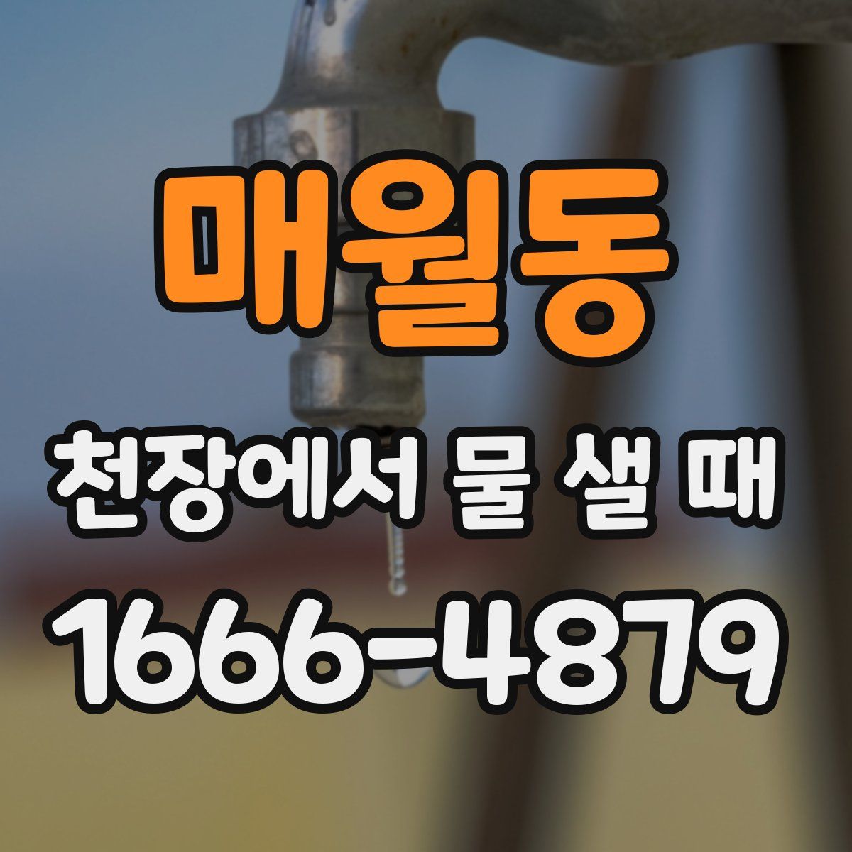 매월동 천장에서 물 샐 때
