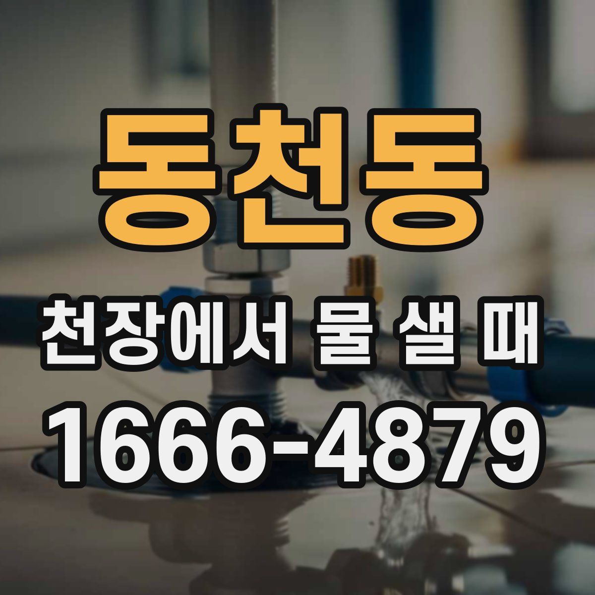 동천동 천장에서 물 샐 때