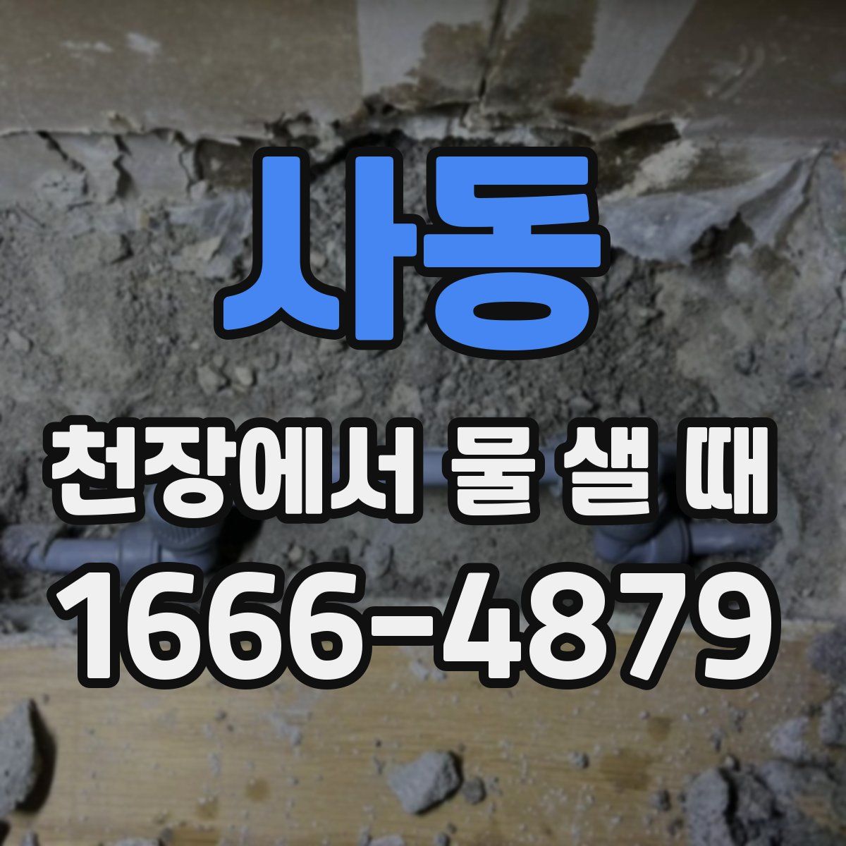 사동 천장에서 물 샐 때