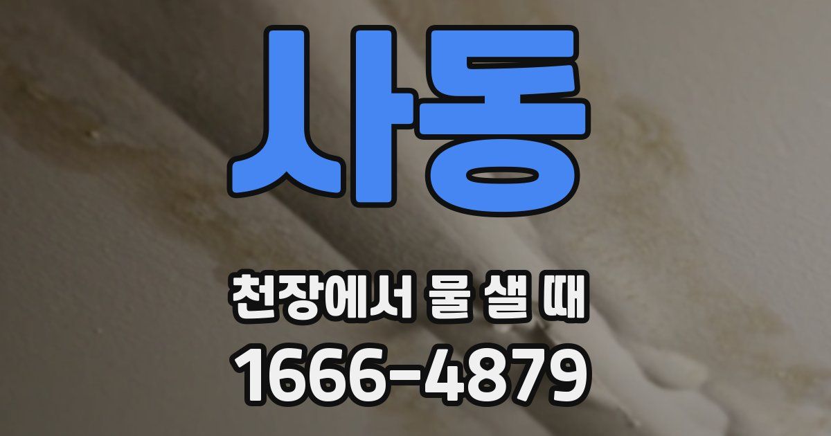 사동 천장에서 물 샐 때