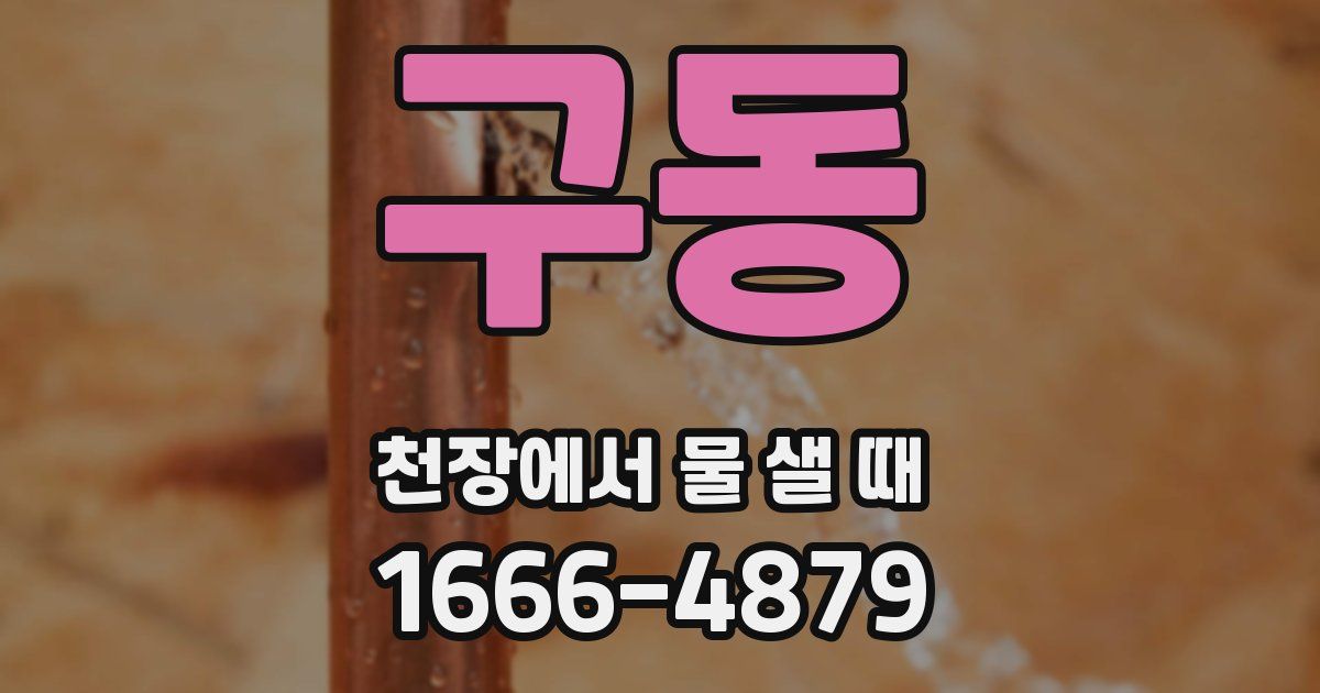 구동 천장에서 물 샐 때