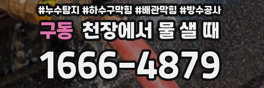 구동 천장에서 물 샐 때