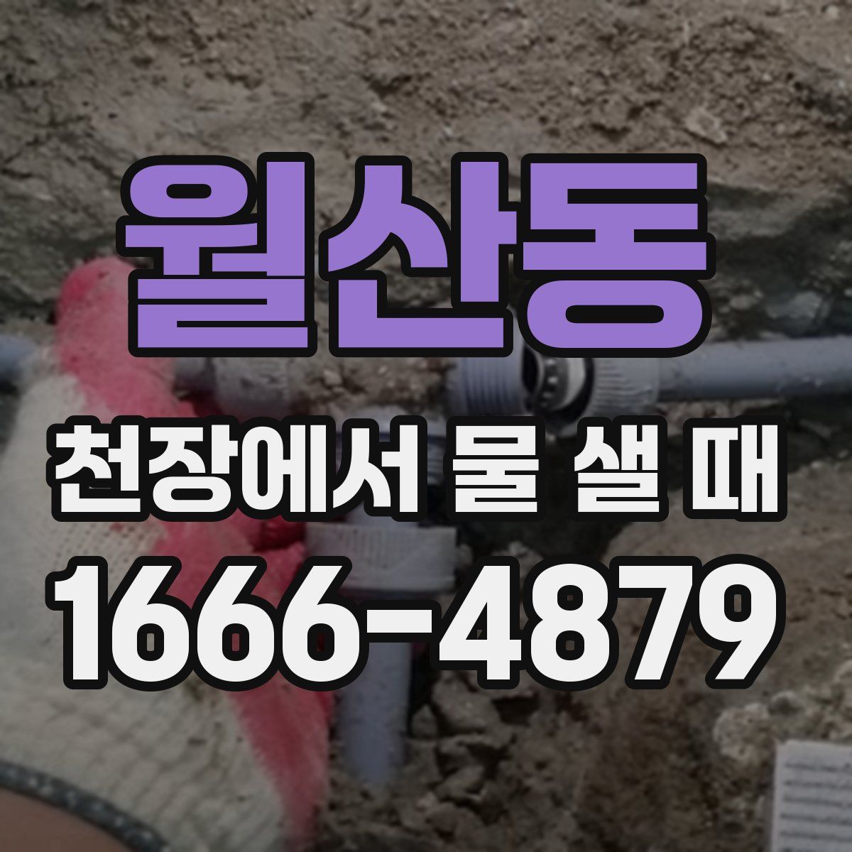 월산동 천장에서 물 샐 때