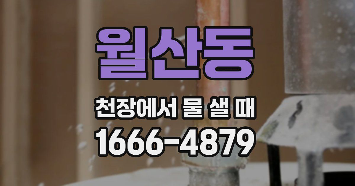 월산동 천장에서 물 샐 때