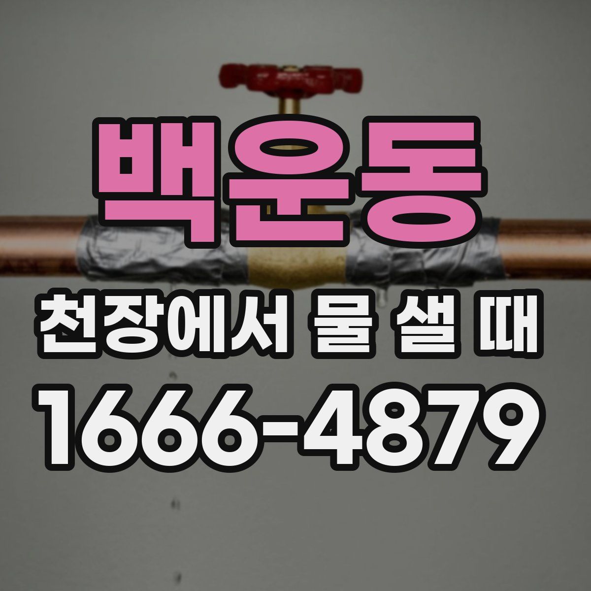 백운동 천장에서 물 샐 때