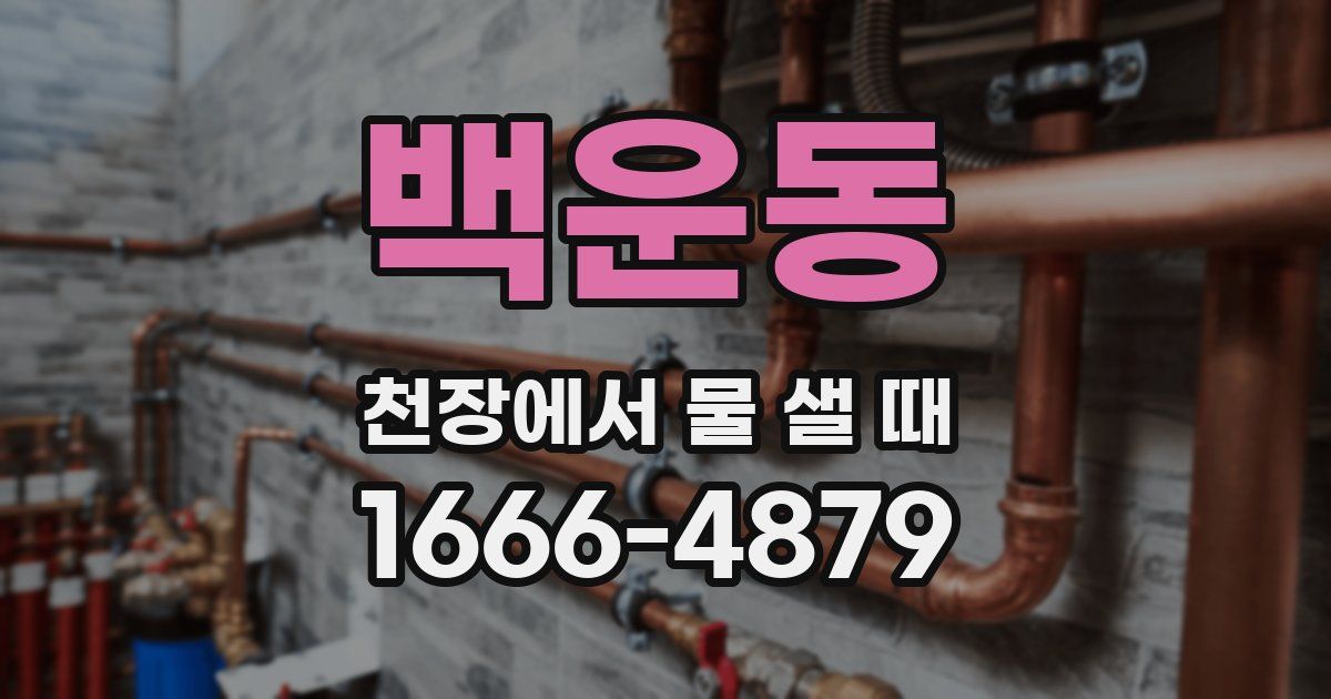 백운동 천장에서 물 샐 때
