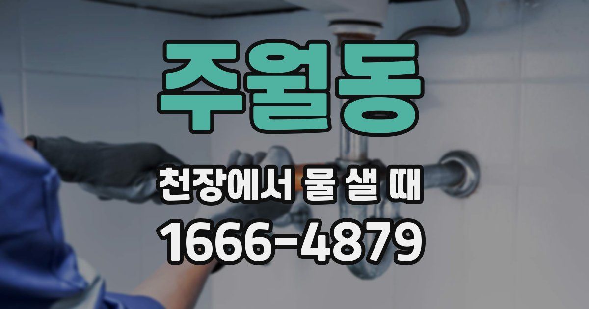 주월동 천장에서 물 샐 때