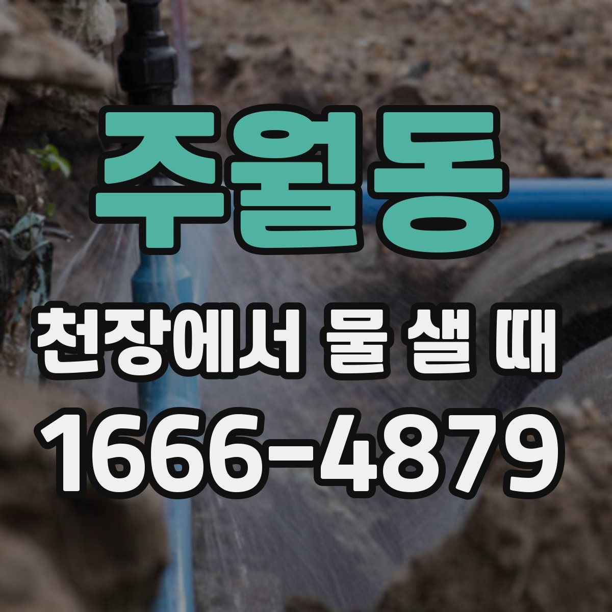 주월동 천장에서 물 샐 때