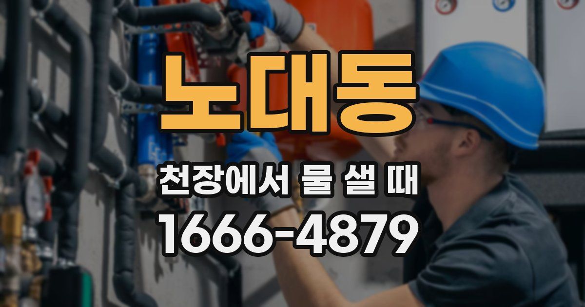 노대동 천장에서 물 샐 때