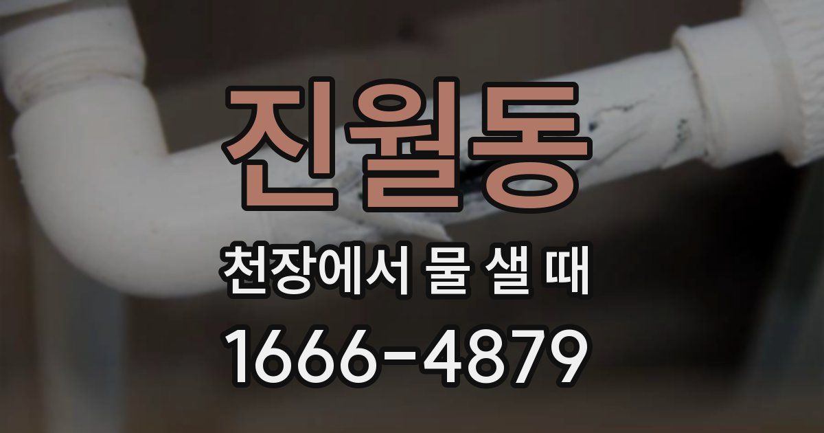 진월동 천장에서 물 샐 때
