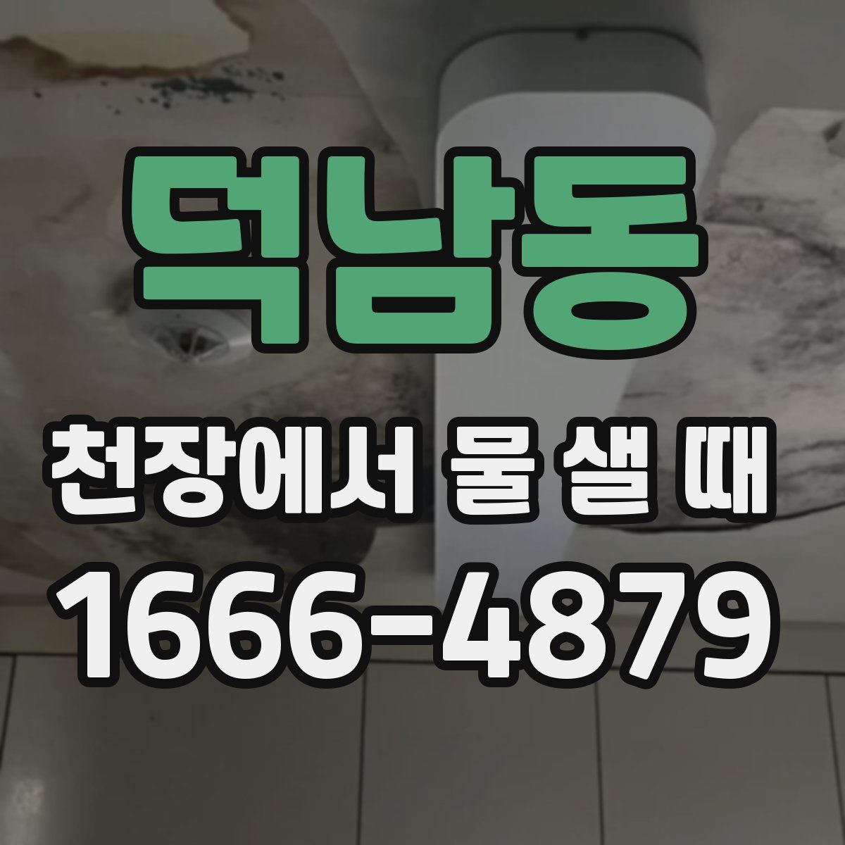 덕남동 천장에서 물 샐 때
