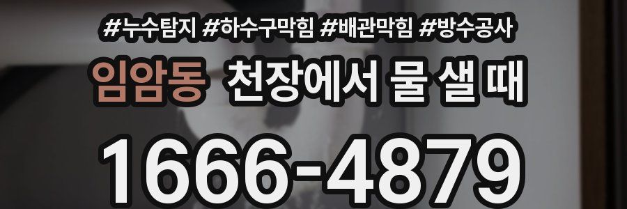 임암동 천장에서 물 샐 때