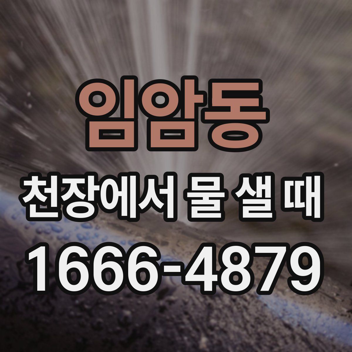 임암동 천장에서 물 샐 때