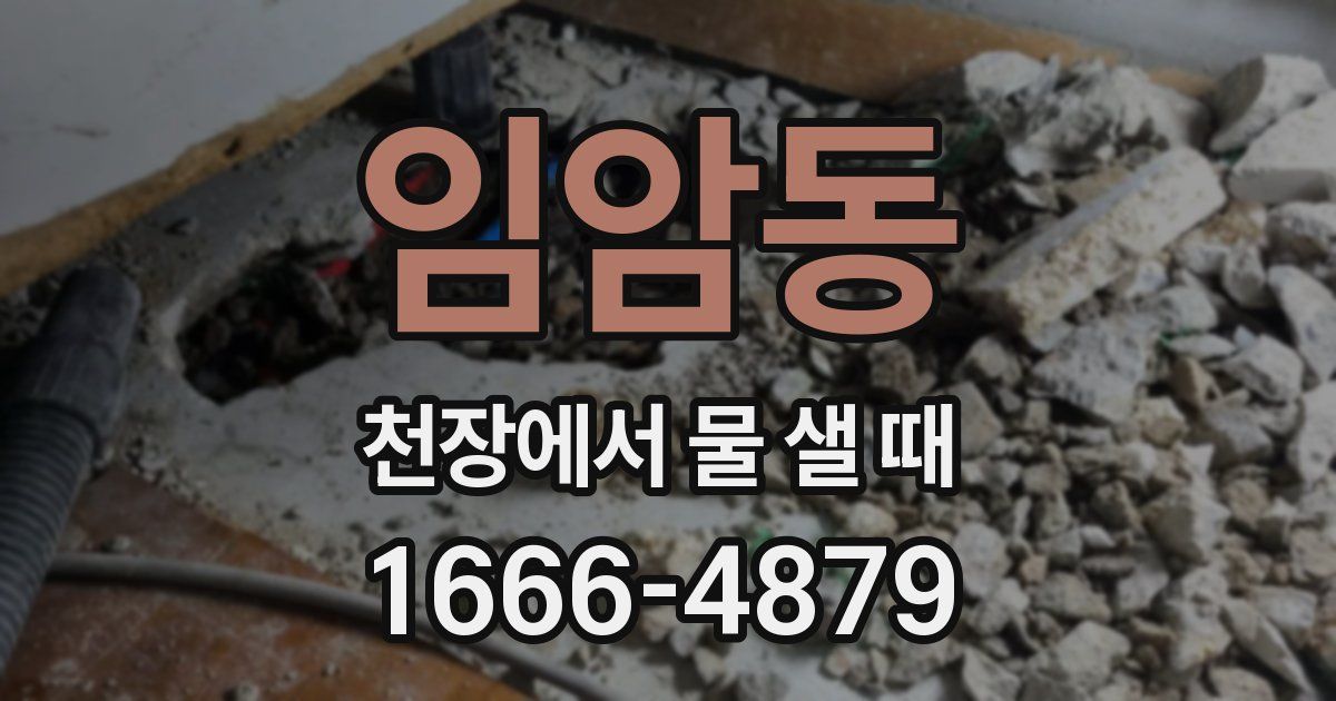 임암동 천장에서 물 샐 때