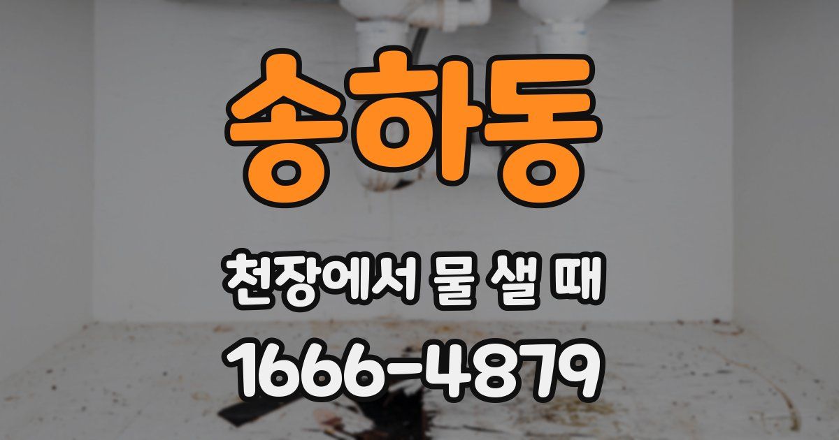 송하동 천장에서 물 샐 때