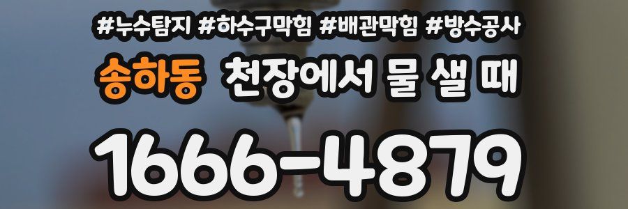 송하동 천장에서 물 샐 때