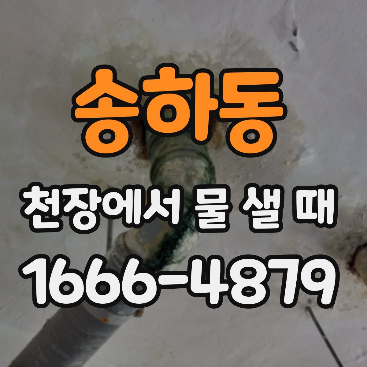 송하동 천장에서 물 샐 때
