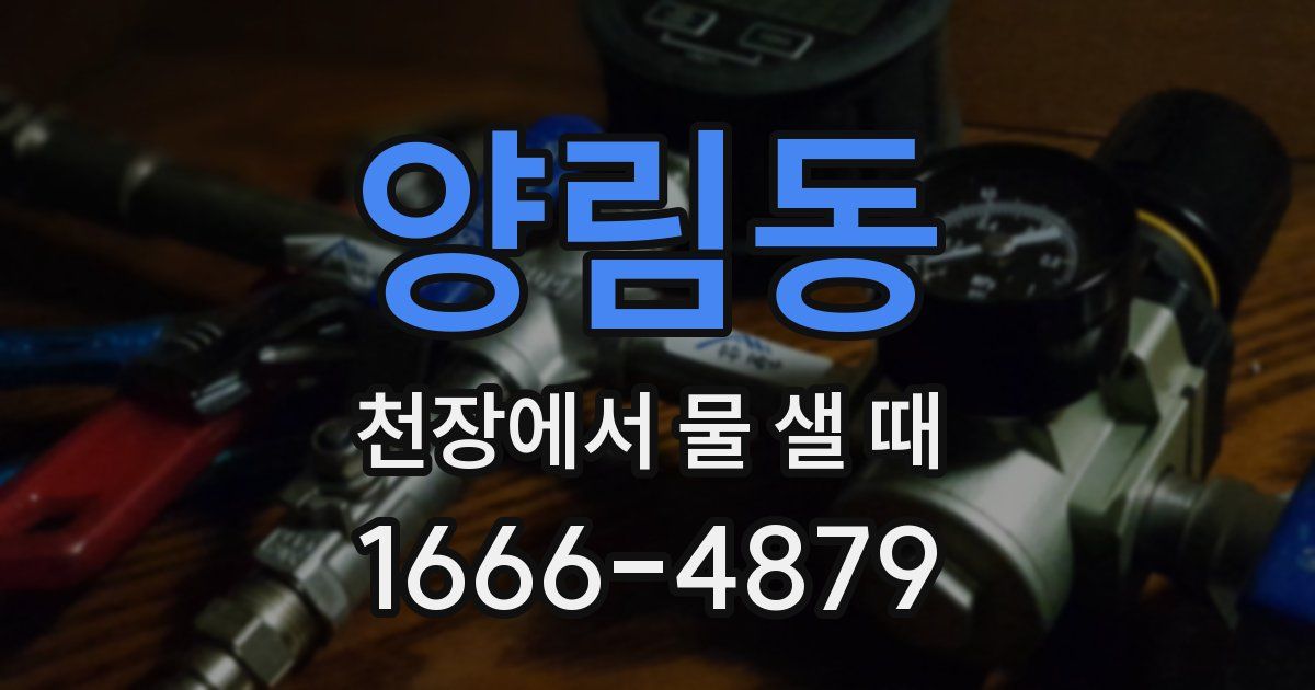 양림동 천장에서 물 샐 때