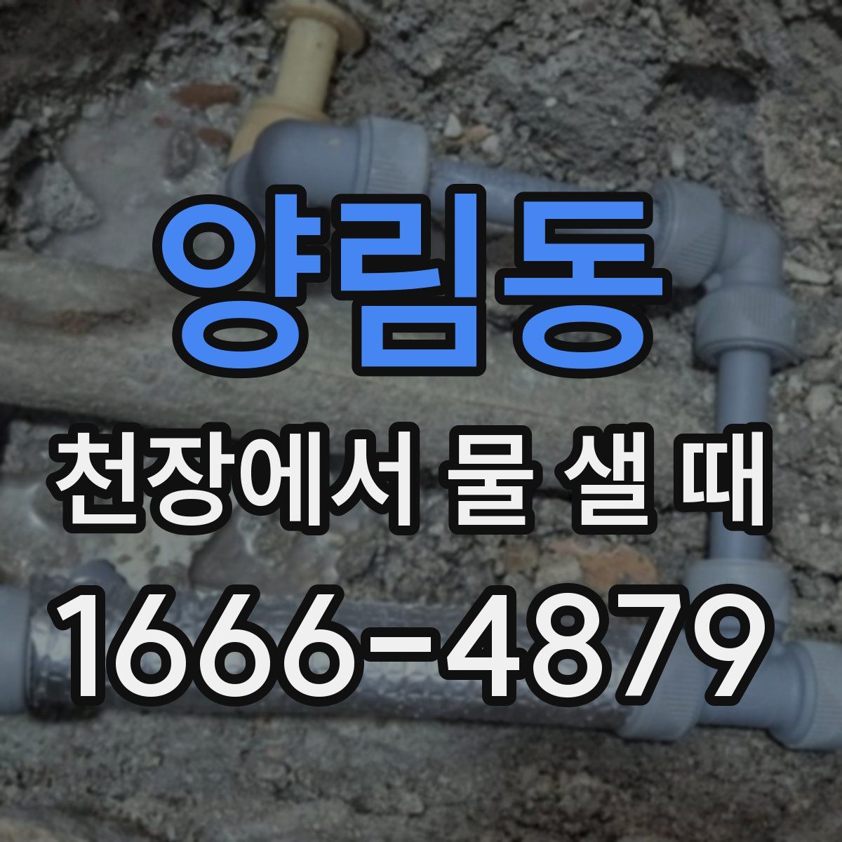 양림동 천장에서 물 샐 때