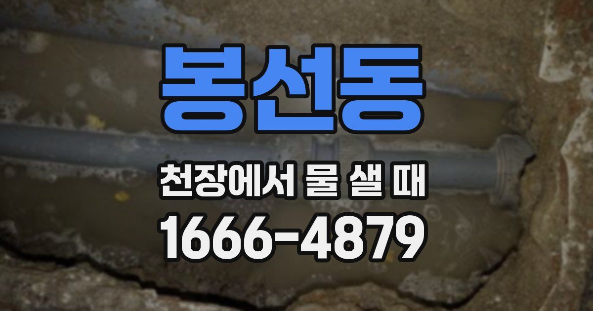 봉선동 천장에서 물 샐 때