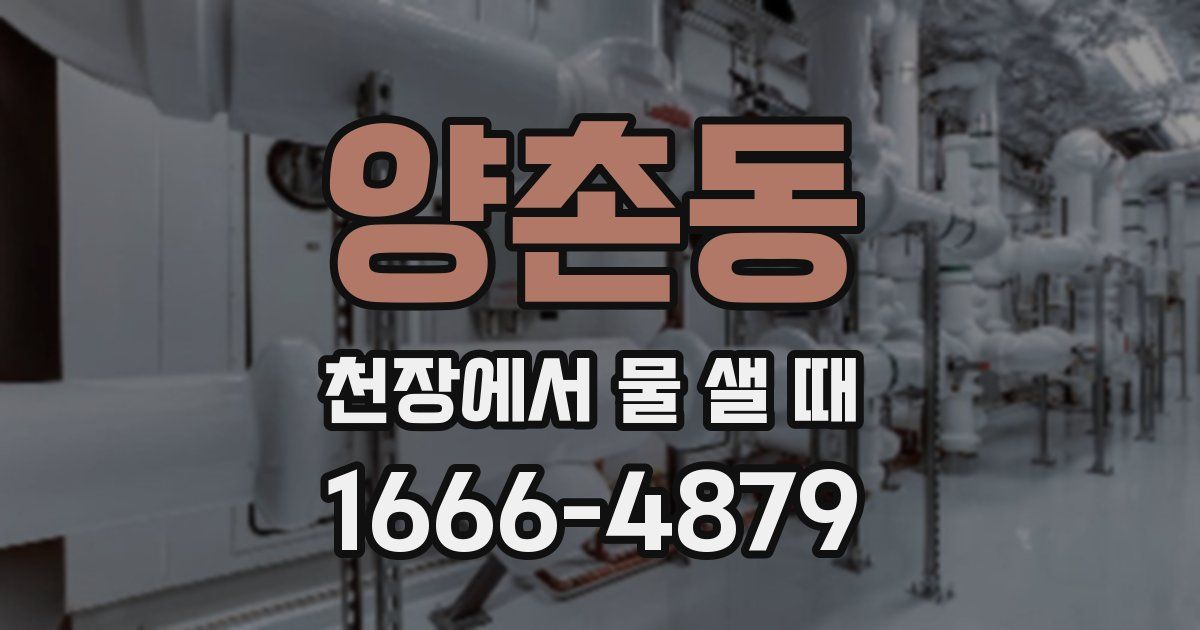양촌동 천장에서 물 샐 때