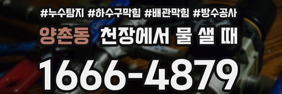 양촌동 천장에서 물 샐 때