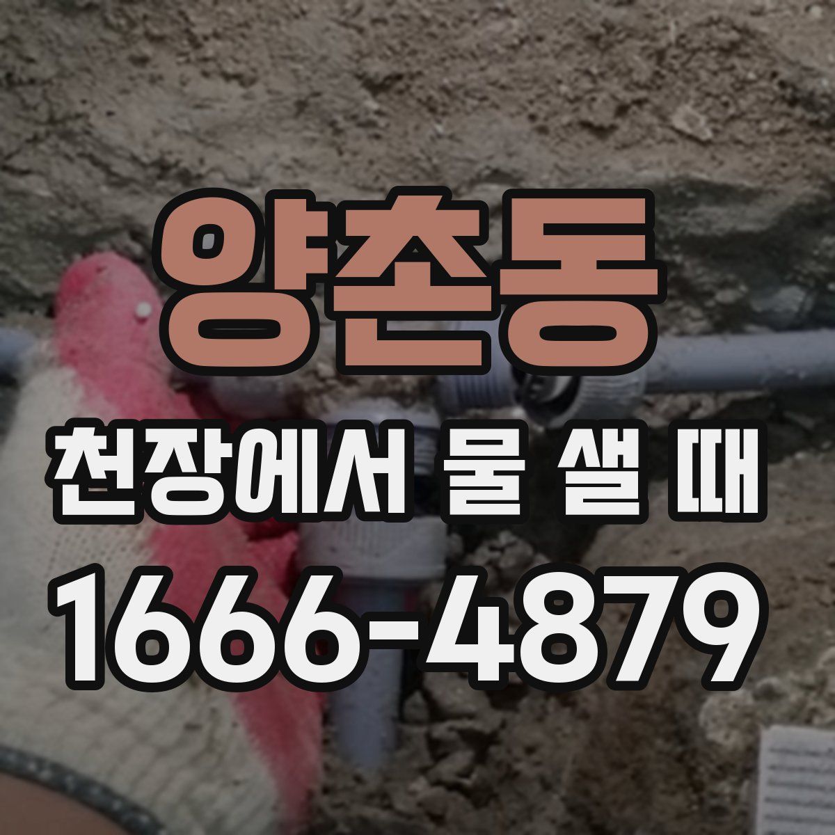 양촌동 천장에서 물 샐 때