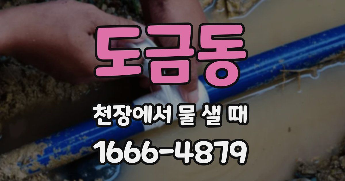 도금동 천장에서 물 샐 때