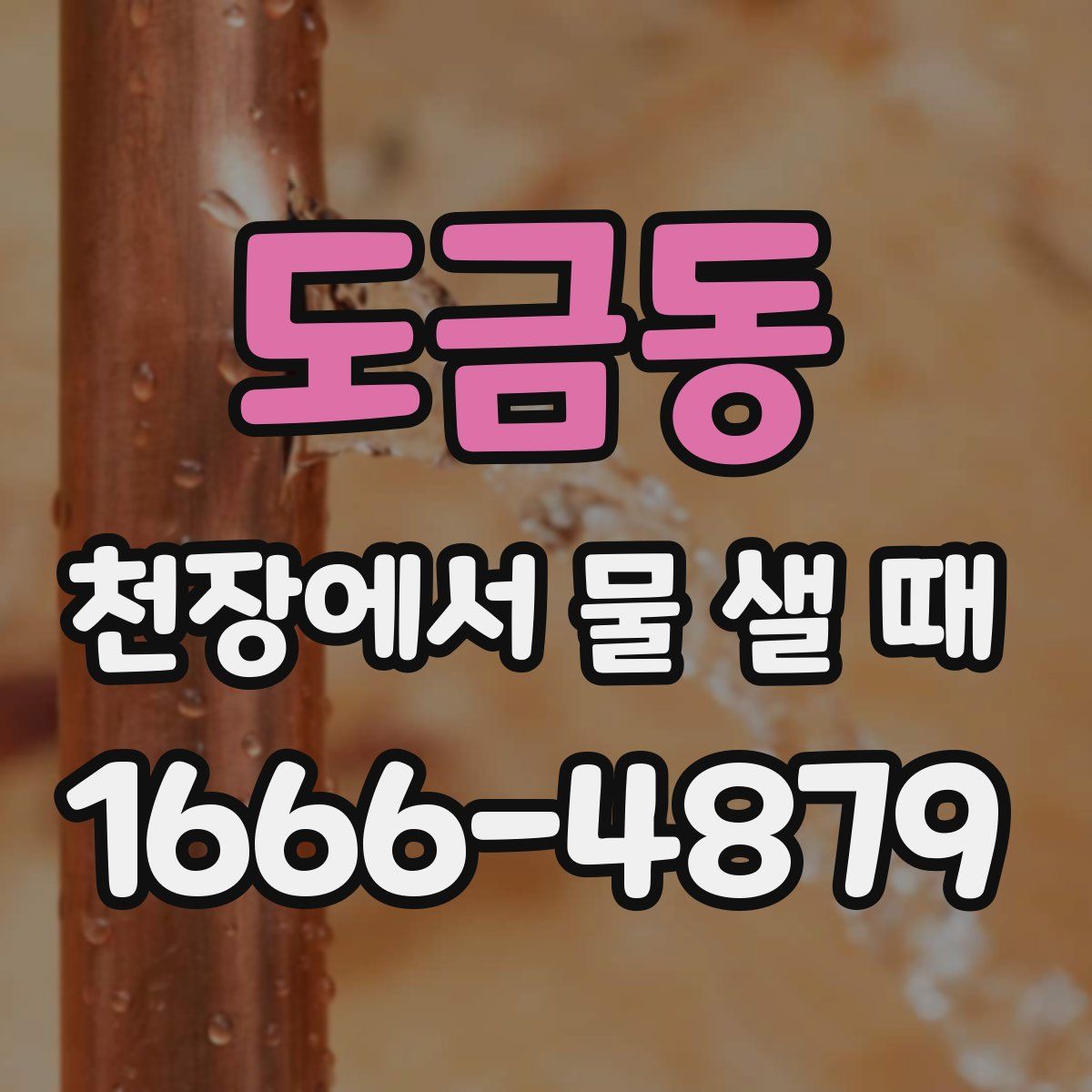 도금동 천장에서 물 샐 때
