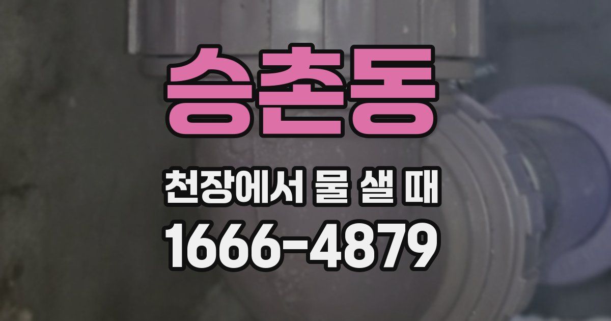 승촌동 천장에서 물 샐 때