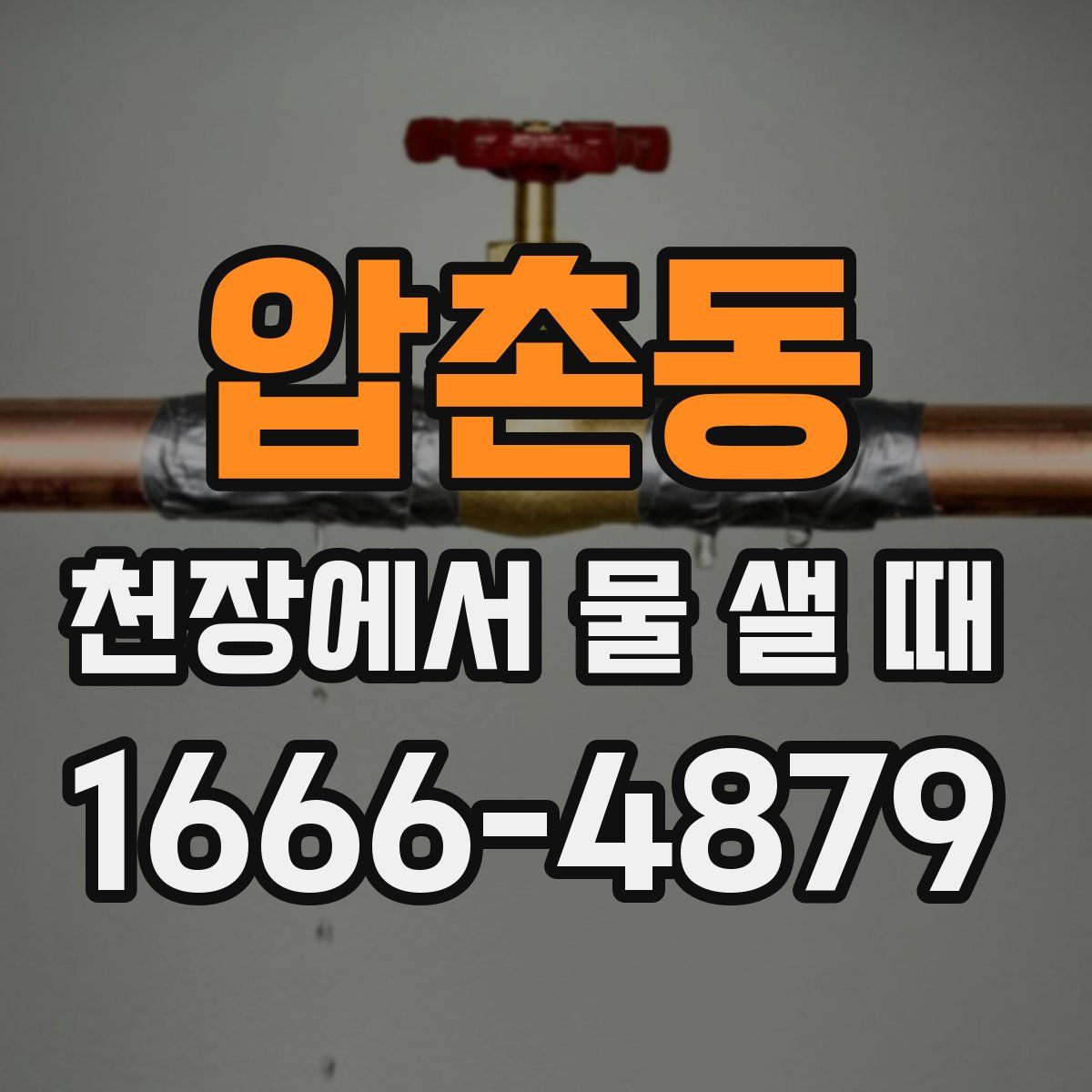 압촌동 천장에서 물 샐 때