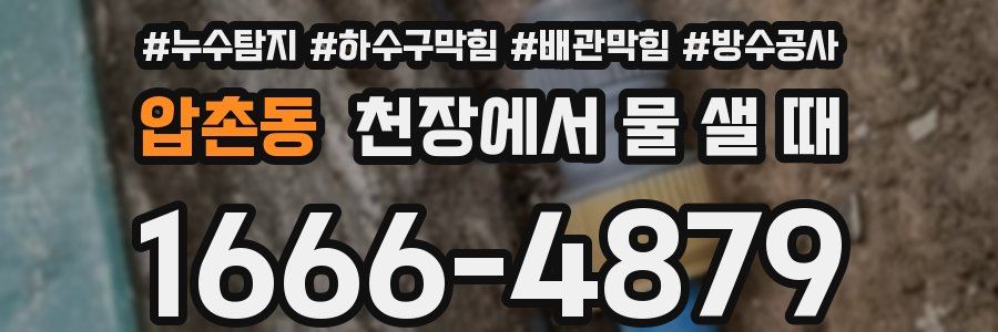 압촌동 천장에서 물 샐 때