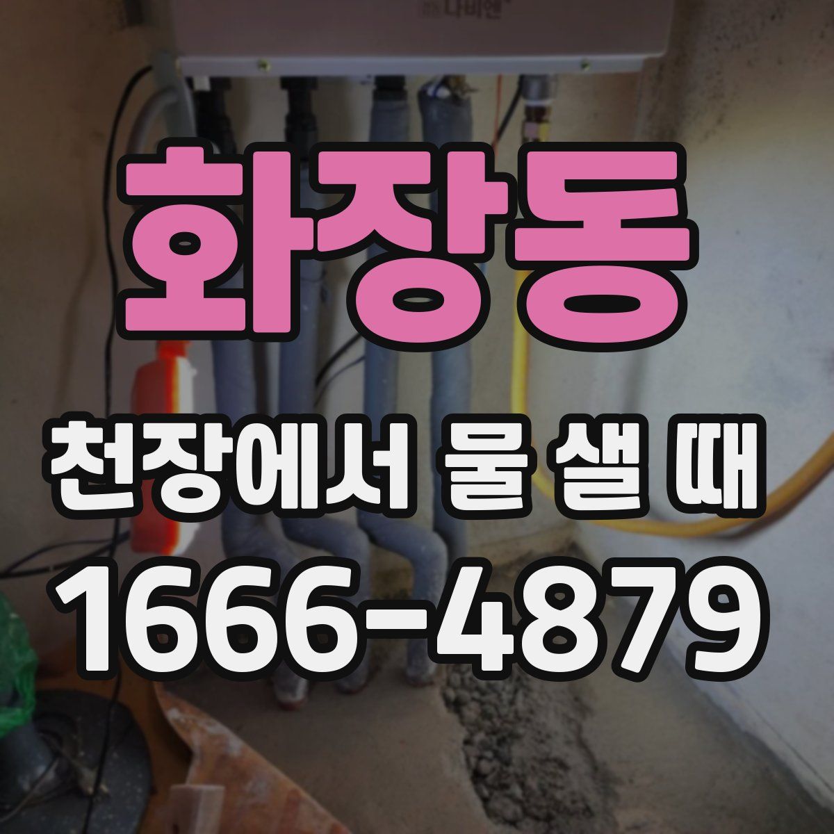 화장동 천장에서 물 샐 때