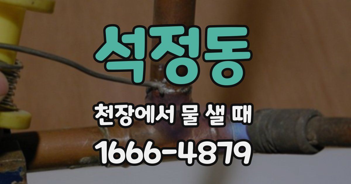 석정동 천장에서 물 샐 때